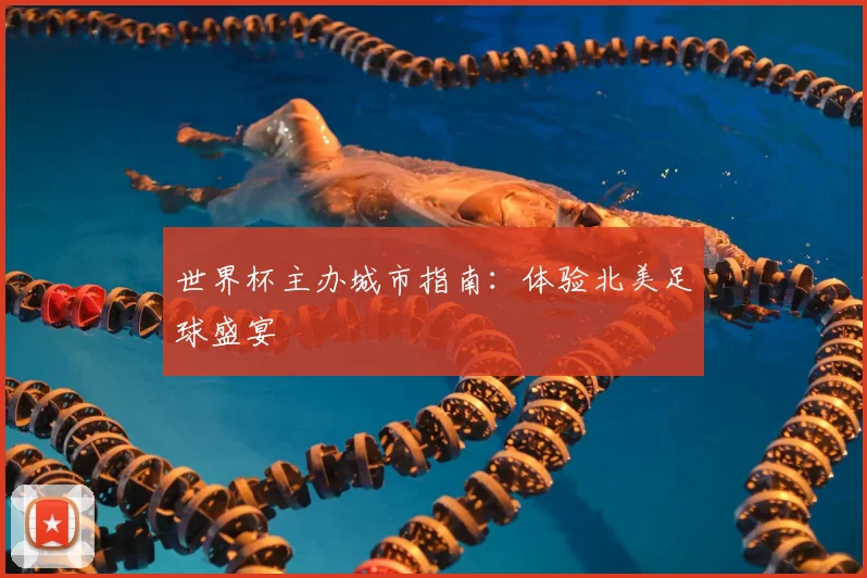 世界杯主办城市指南：体验北美足球盛宴
