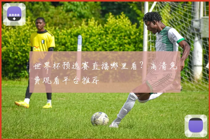 世界杯预选赛直播哪里看？高清免费观看平台推荐