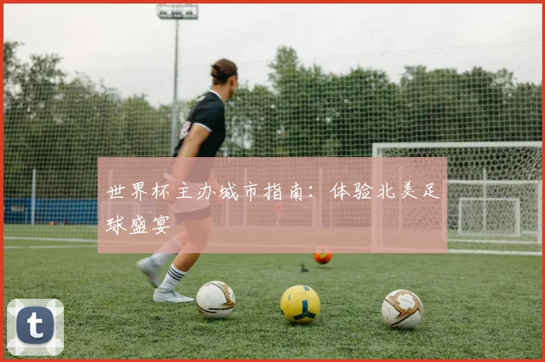 世界杯主办城市指南：体验北美足球盛宴